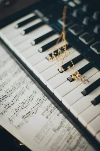 Individual Music Lessons - Deposit
